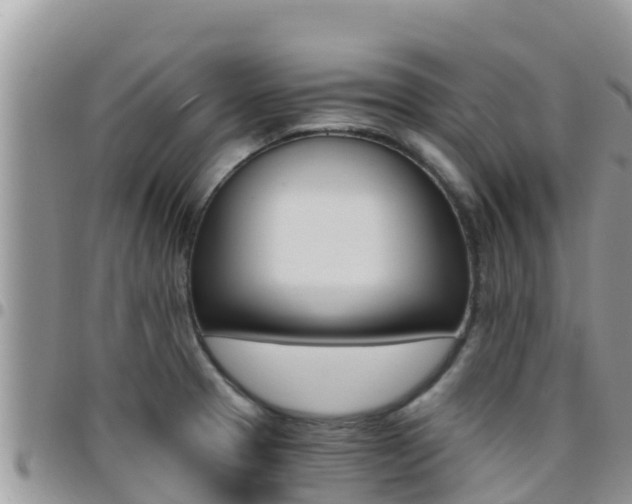 X0000096201329200801181022