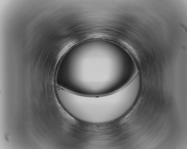 X0000096201330200801181022