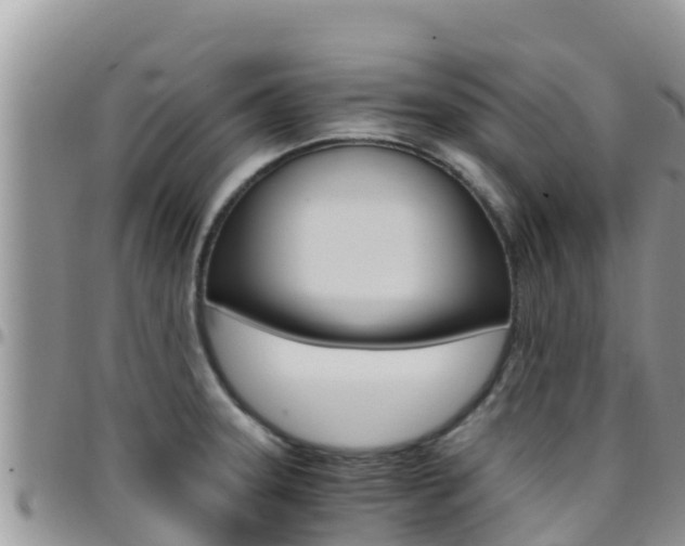 X0000096201331200801181022