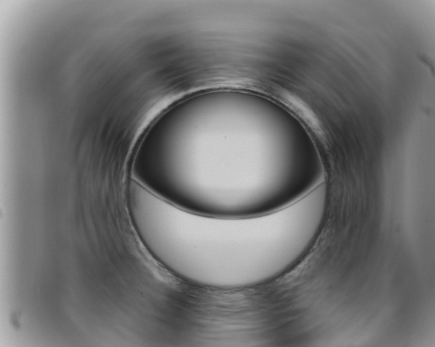 X0000096201332200801181022