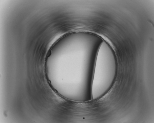 X0000096201333200801181022