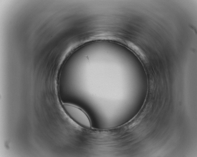 X0000096201334200801181022