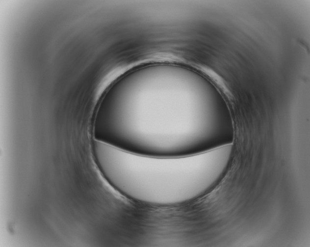 X0000096201335200801181022