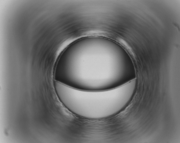 X0000096201336200801181022