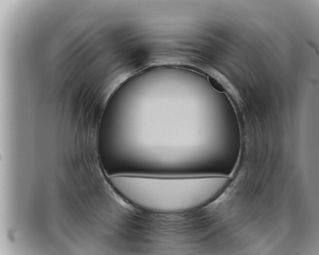 X0000096201337200801181022