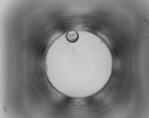 X0000096201338200801181022