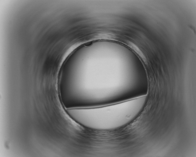 X0000096201339200801181022