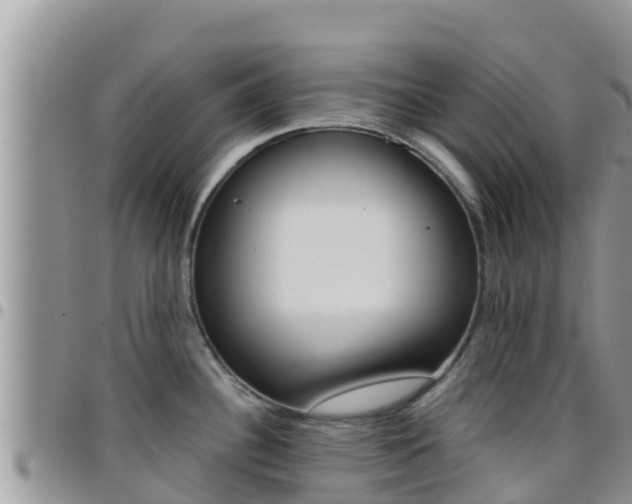 X0000096201340200801181022