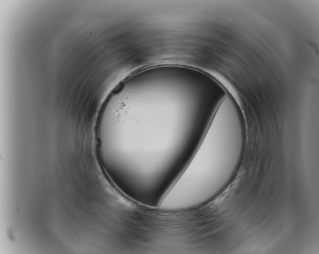 X0000096201341200801181022