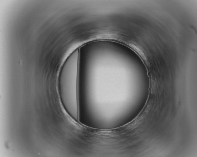 X0000096201342200801181022