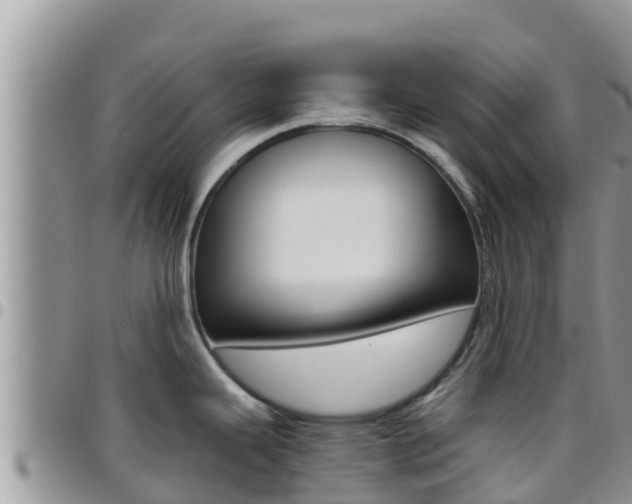 X0000096201343200801181022