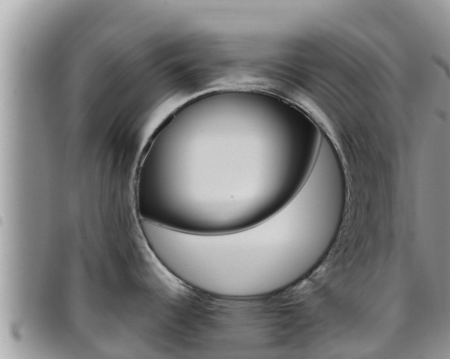 X0000096201344200801181022
