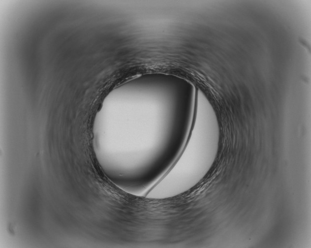X0000096201345200801181022