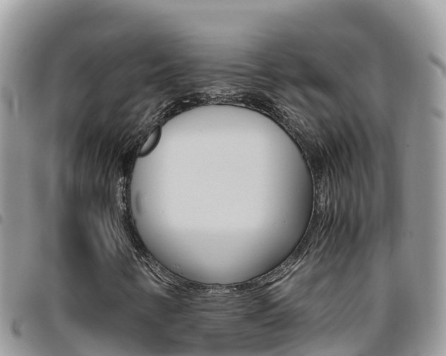 X0000096201346200801181022