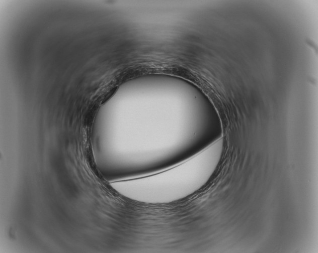 X0000096201347200801181022