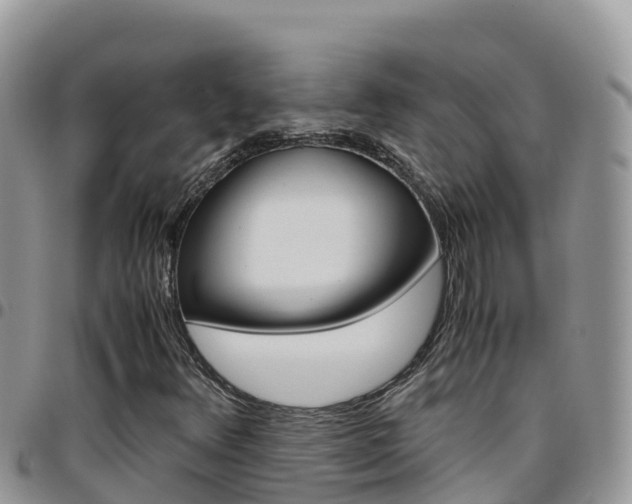 X0000096201348200801181022