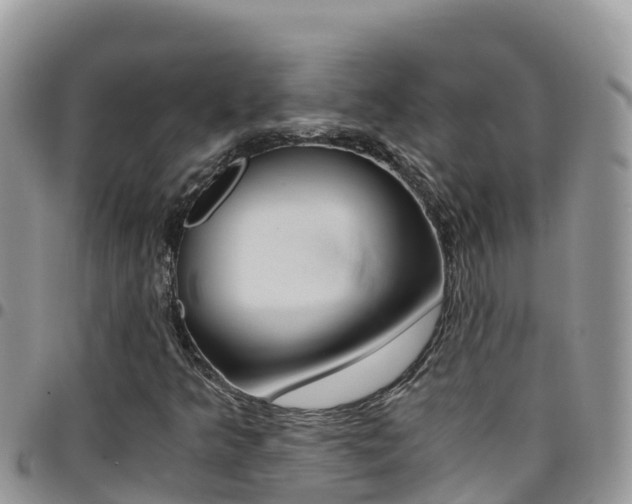 X0000096201349200801181022