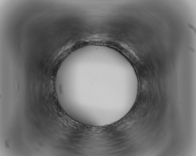 X0000096201350200801181022