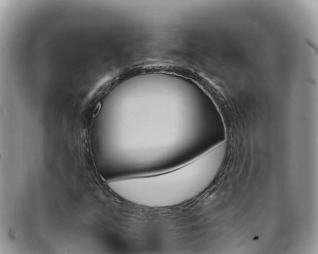 X0000096201351200801181022
