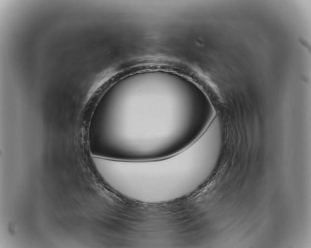 X0000096201352200801181022