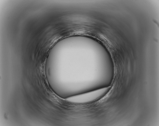 X0000096201353200801181022