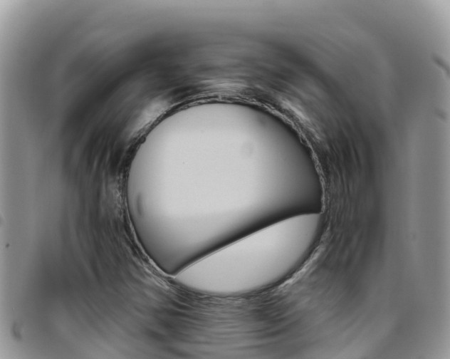 X0000096201354200801181022