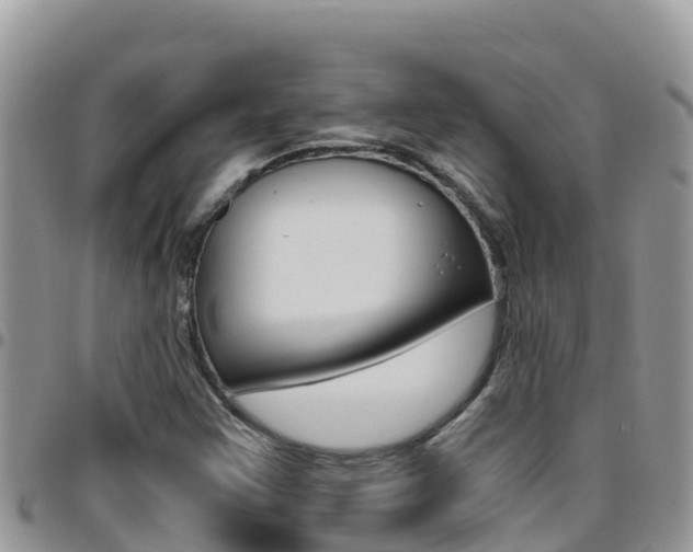 X0000096201355200801181022