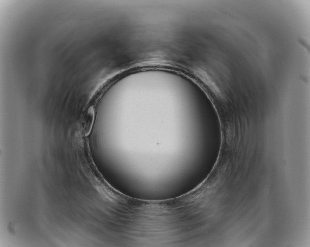 X0000096201356200801181022