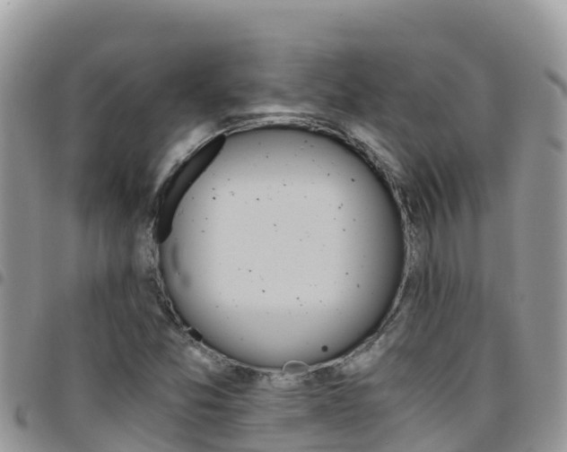 X0000096201357200801181022