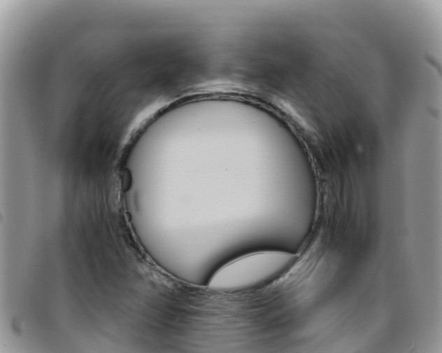 X0000096201358200801181022