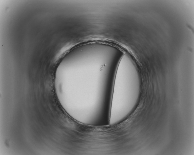 X0000096201359200801181022