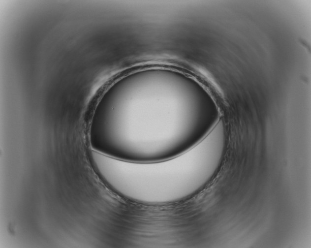 X0000096201360200801181022