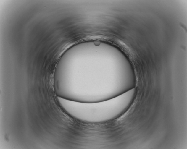 X0000096201361200801181022