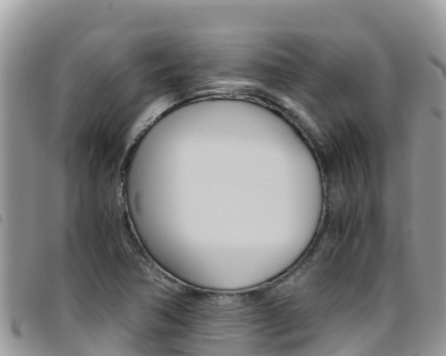 X0000096201362200801181022