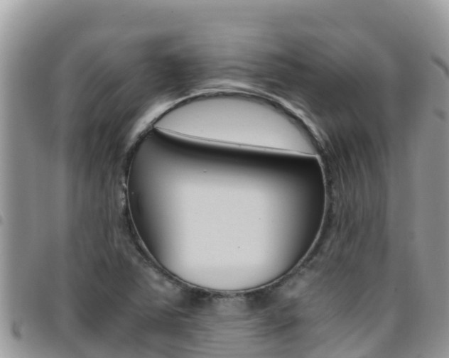 X0000096201363200801181022