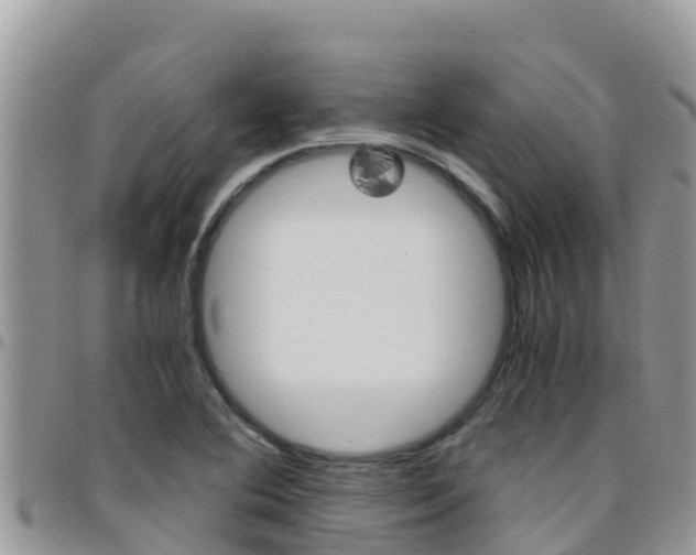 X0000096201364200801181022