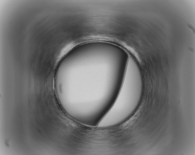 X0000096201365200801181022