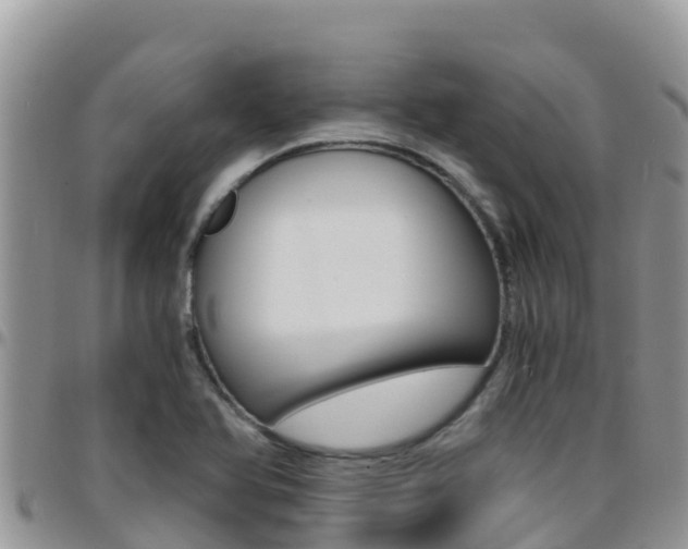 X0000096201366200801181022