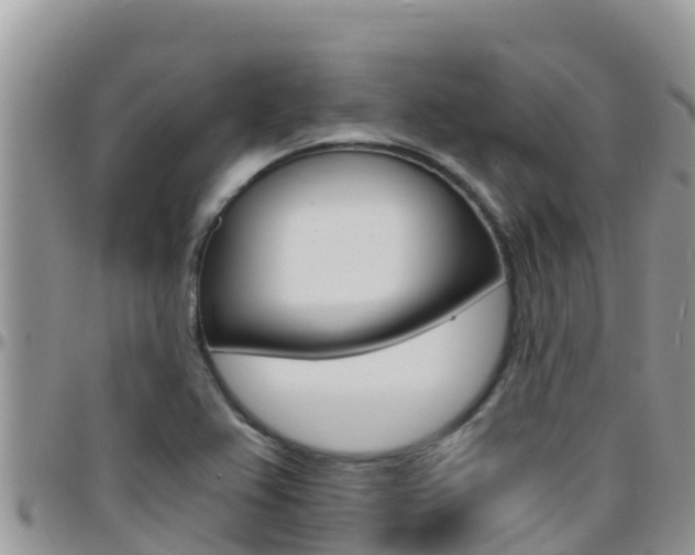 X0000096201367200801181022