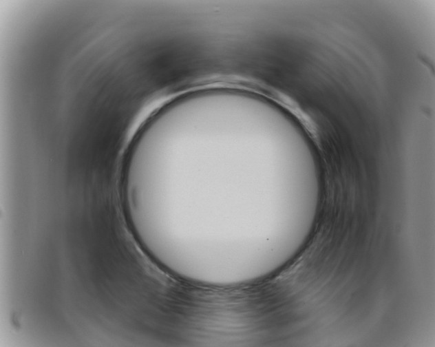 X0000096201368200801181022