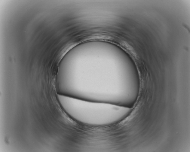 X0000096201369200801181022