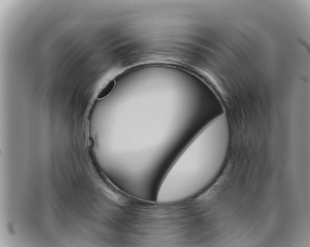 X0000096201371200801181021