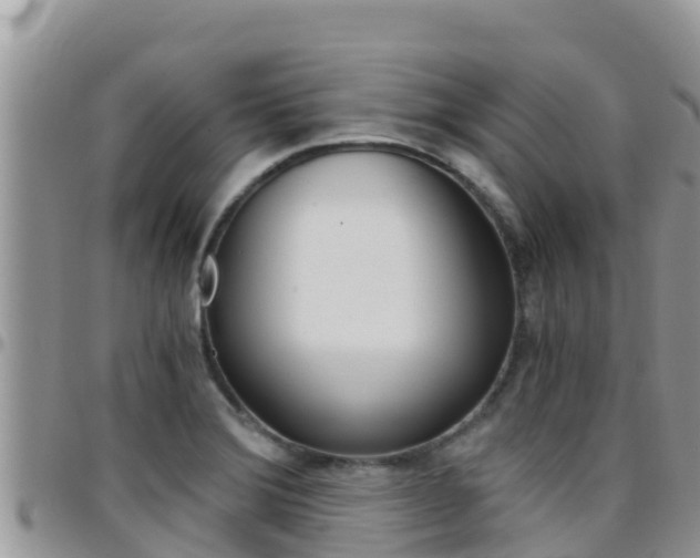 X0000096201372200801181021