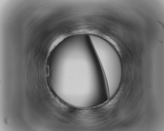 X0000096201373200801181021