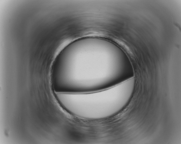 X0000096201375200801181021