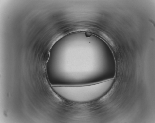 X0000096201377200801181021
