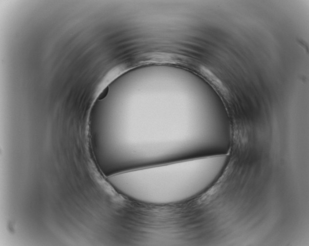 X0000096201378200801181021