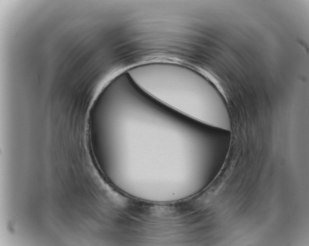 X0000096201379200801181021
