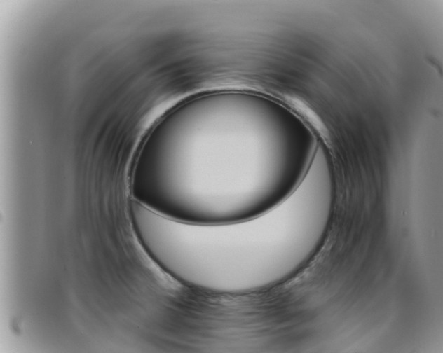 X0000096201380200801181021