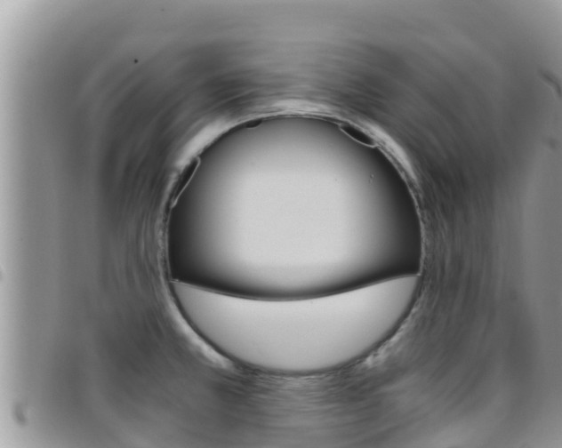 X0000096201381200801181021